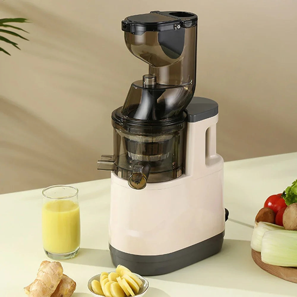 Houselin Slow Cold Press Juicer Machines Vegetable and Fruit, 500W Slow Masticating Juicer Machines with 7-inch Large Feed Chute