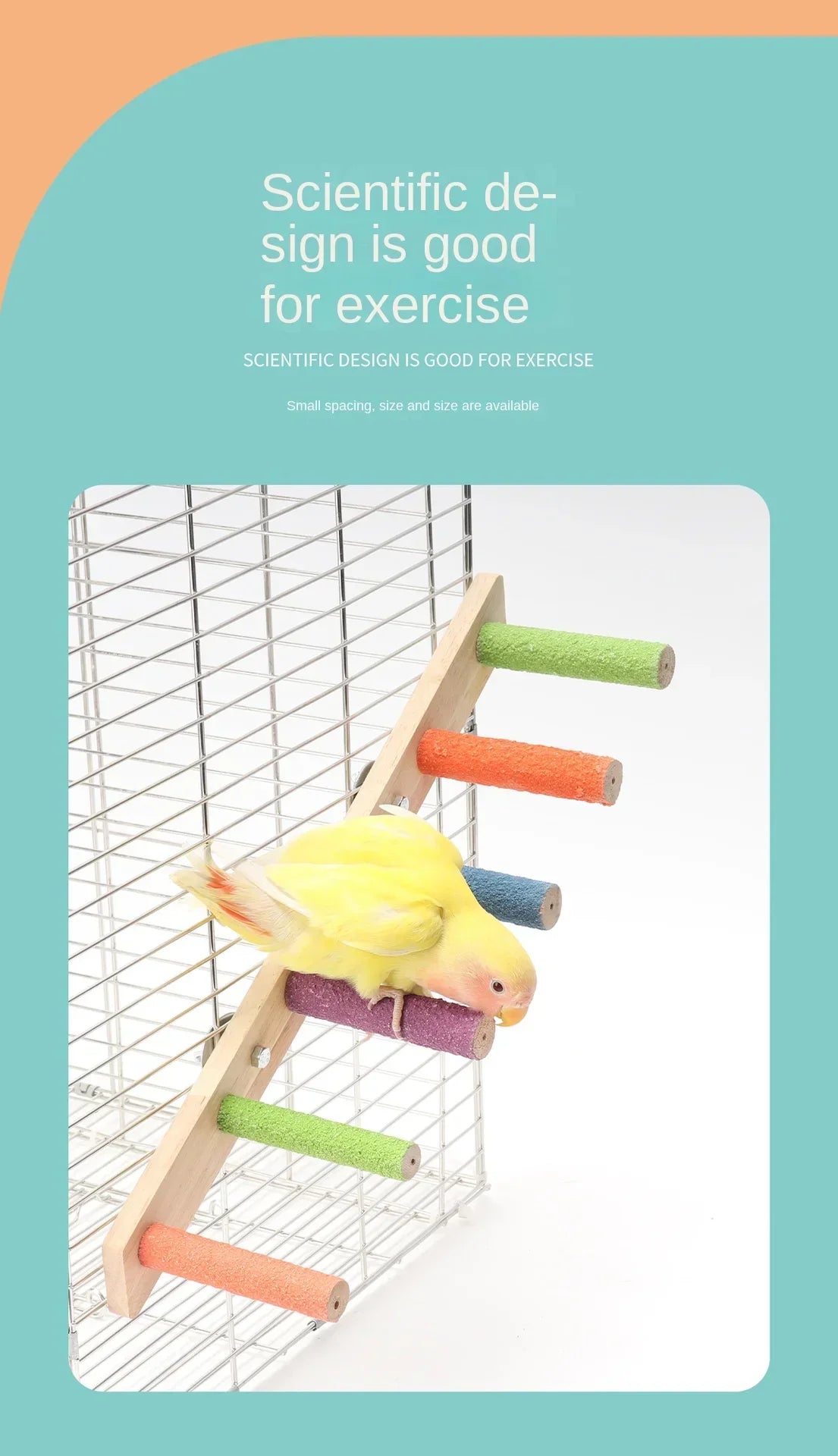 4/6 Steps Wood Ladder Pet Interactive Bird Parrot Toy Ladder for Hamster Cage Funny Grinding Stick Climbing Toy Bird Accessories