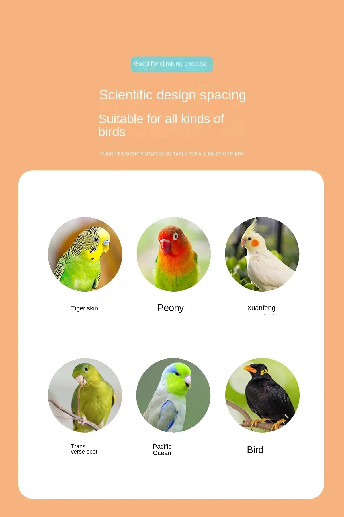 4/6 Steps Wood Ladder Pet Interactive Bird Parrot Toy Ladder for Hamster Cage Funny Grinding Stick Climbing Toy Bird Accessories