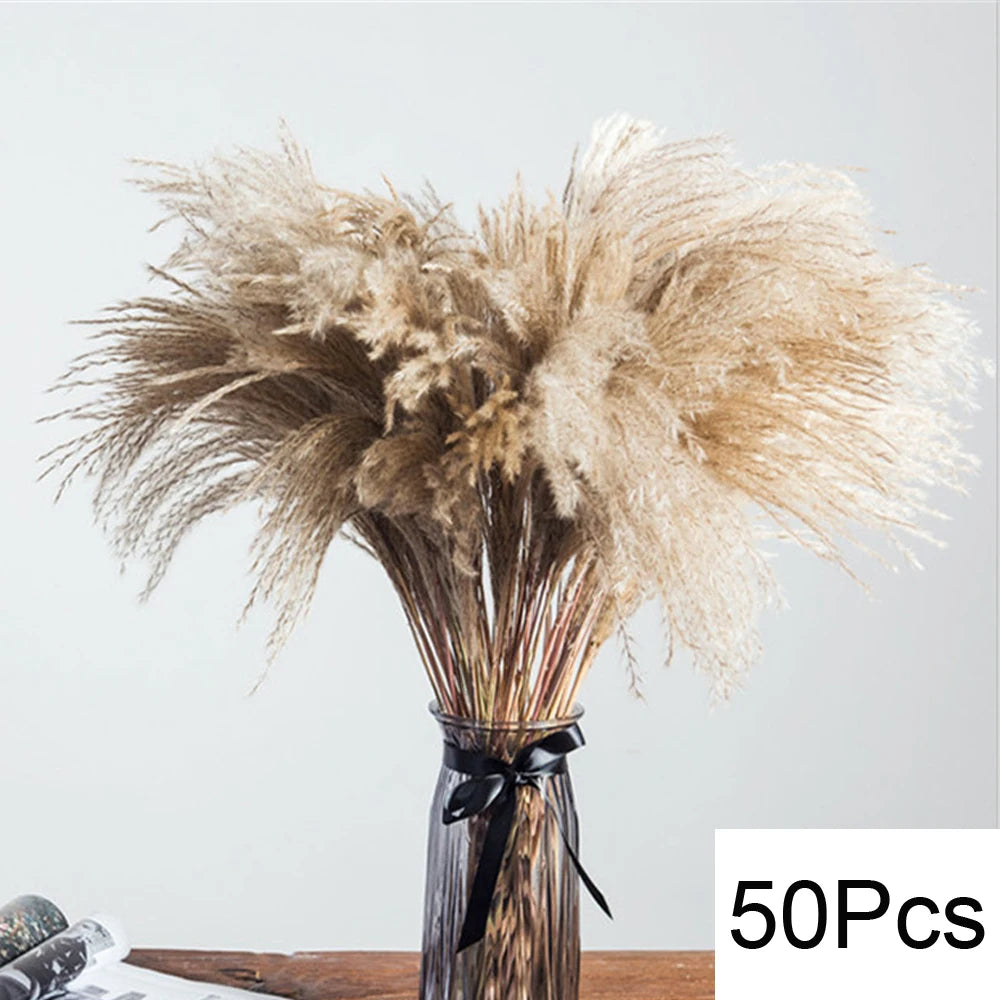 Pampas Grass Decor Boho Home Decor Bouquet Natural Fluffy Dried Flowers for Wedding Floral Arrangements Wall Farmhouse Table Dec