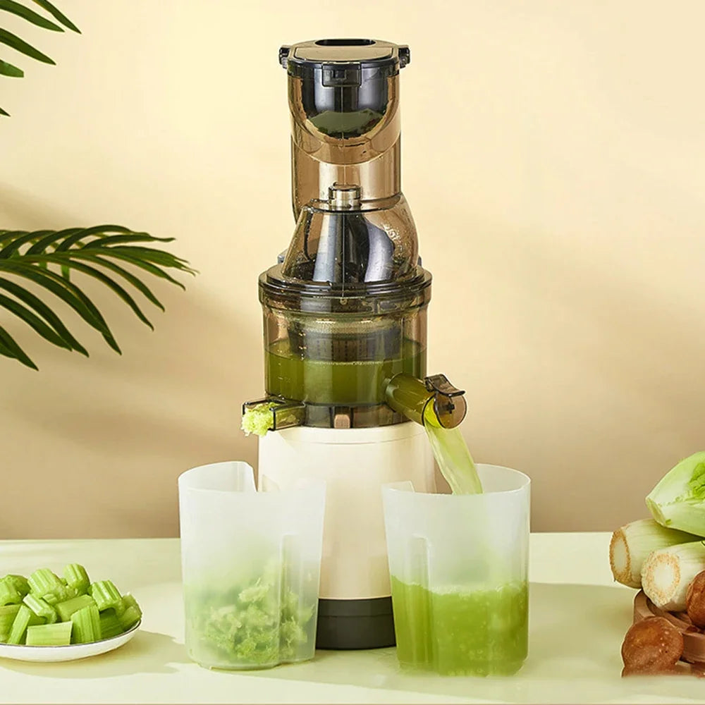Houselin Slow Cold Press Juicer Machines Vegetable and Fruit, 500W Slow Masticating Juicer Machines with 7-inch Large Feed Chute