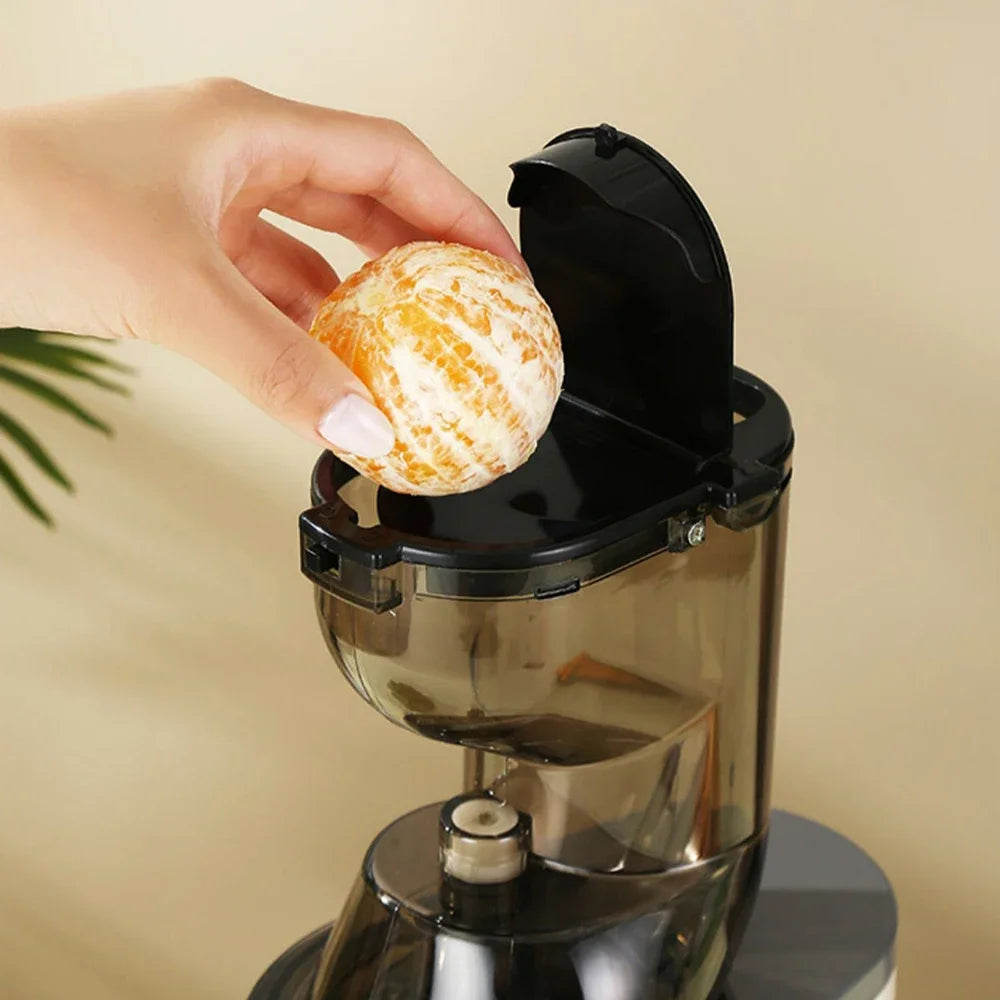 Houselin Slow Cold Press Juicer Machines Vegetable and Fruit, 500W Slow Masticating Juicer Machines with 7-inch Large Feed Chute