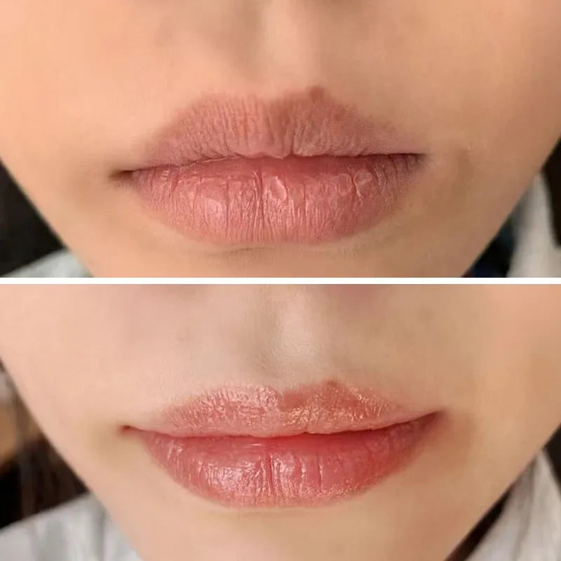 8/6/4Pc Lip Gloss Natural Fruit Essence Moisturizer Lip Balm Hydrating Transparent Lipstick Base Lip Care Makeup Tools