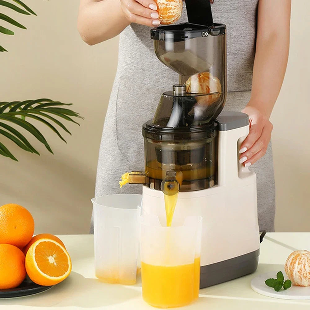 Houselin Slow Cold Press Juicer Machines Vegetable and Fruit, 500W Slow Masticating Juicer Machines with 7-inch Large Feed Chute