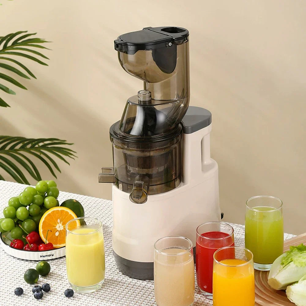 Houselin Slow Cold Press Juicer Machines Vegetable and Fruit, 500W Slow Masticating Juicer Machines with 7-inch Large Feed Chute