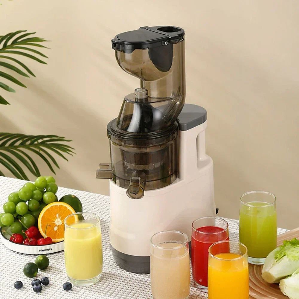 Houselin Slow Cold Press Juicer Machines Vegetable and Fruit, 500W Slow Masticating Juicer Machines with 7-inch Large Feed Chute