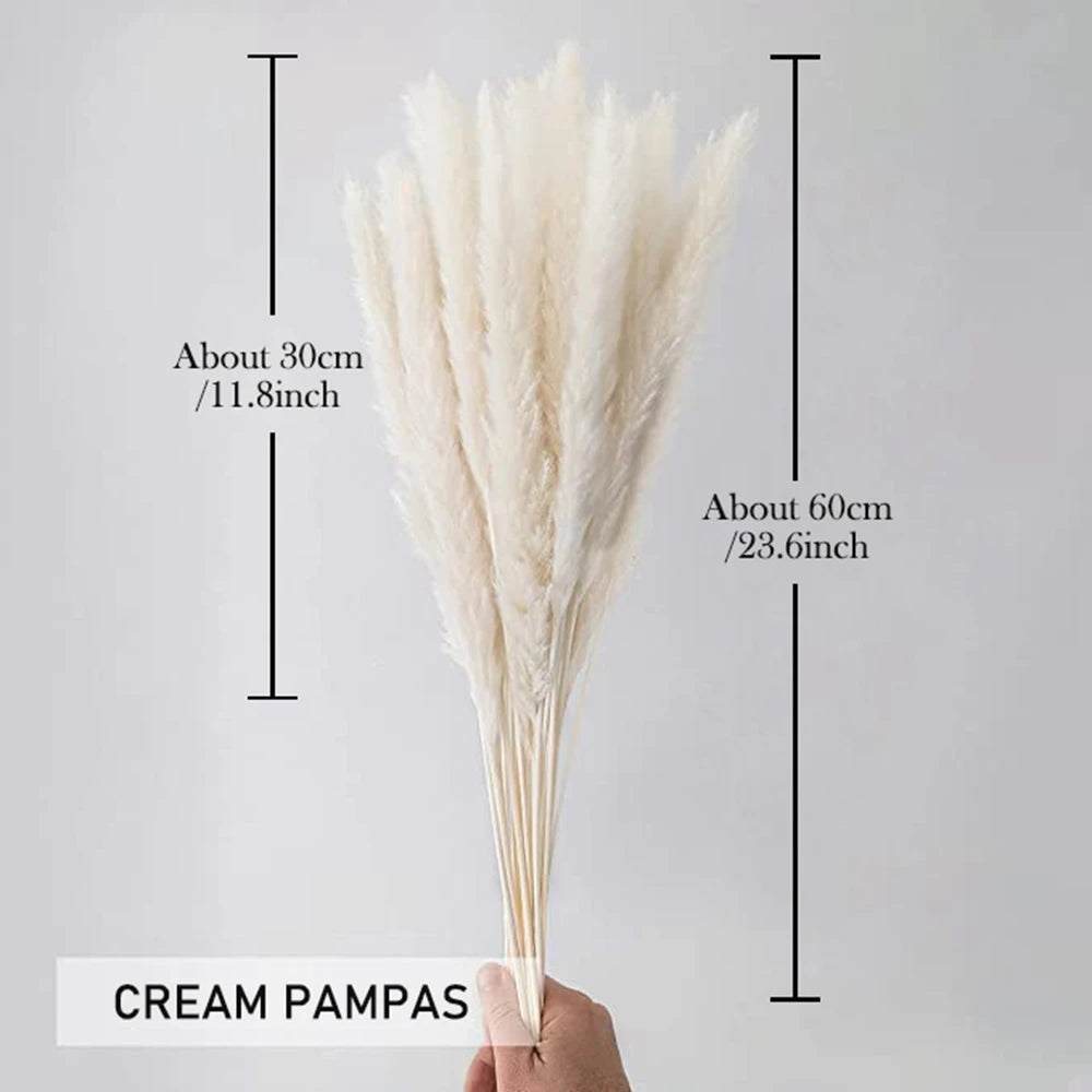 Pampas Grass Decor Boho Home Decor Bouquet Natural Fluffy Dried Flowers for Wedding Floral Arrangements Wall Farmhouse Table Dec