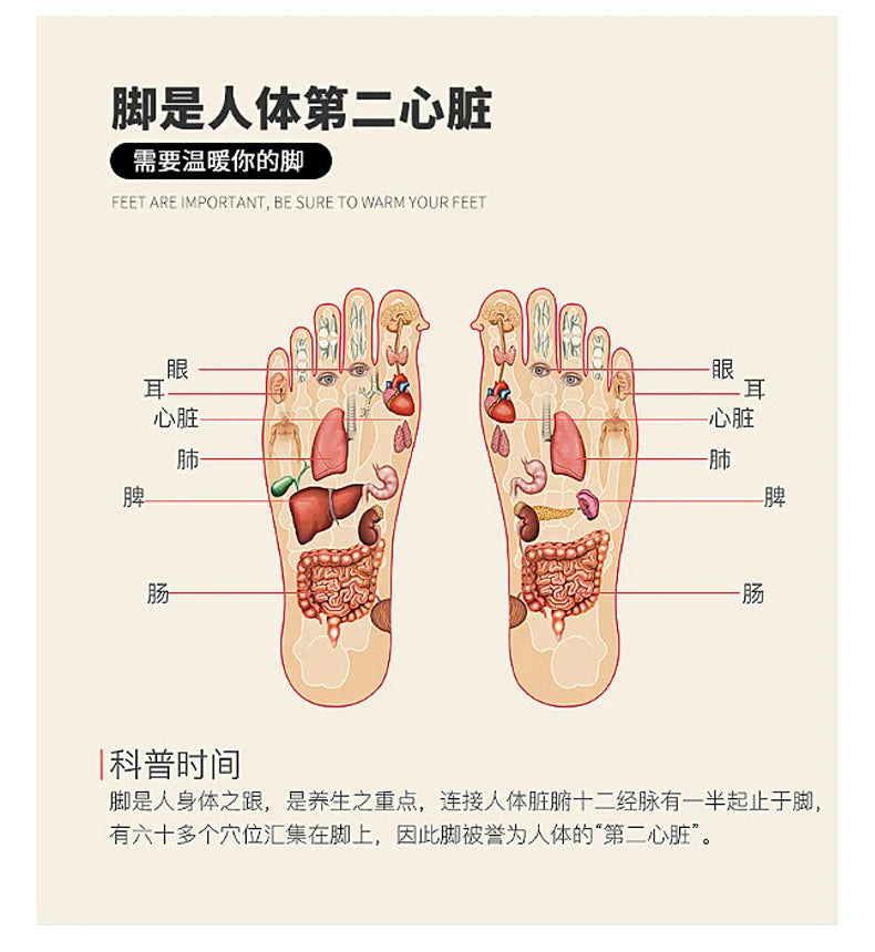 Electric Heated Socks With Battery Case Winter Warm Heating Socks 65℃ Snowmobile Heated Skiing Sock Controllable Buttons outdoor