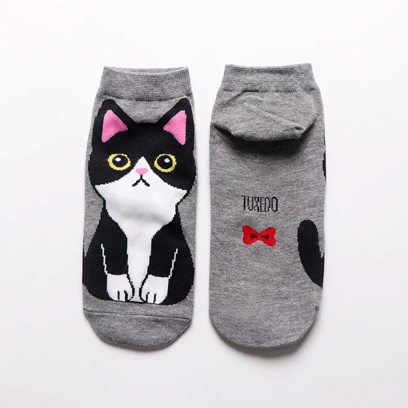 Spring And Autumn Fashion Women's Sotton Socken Funny Cartoon Animal Hello Kitten Dog Cute Girl Happy Funny Socks 5 Pairs