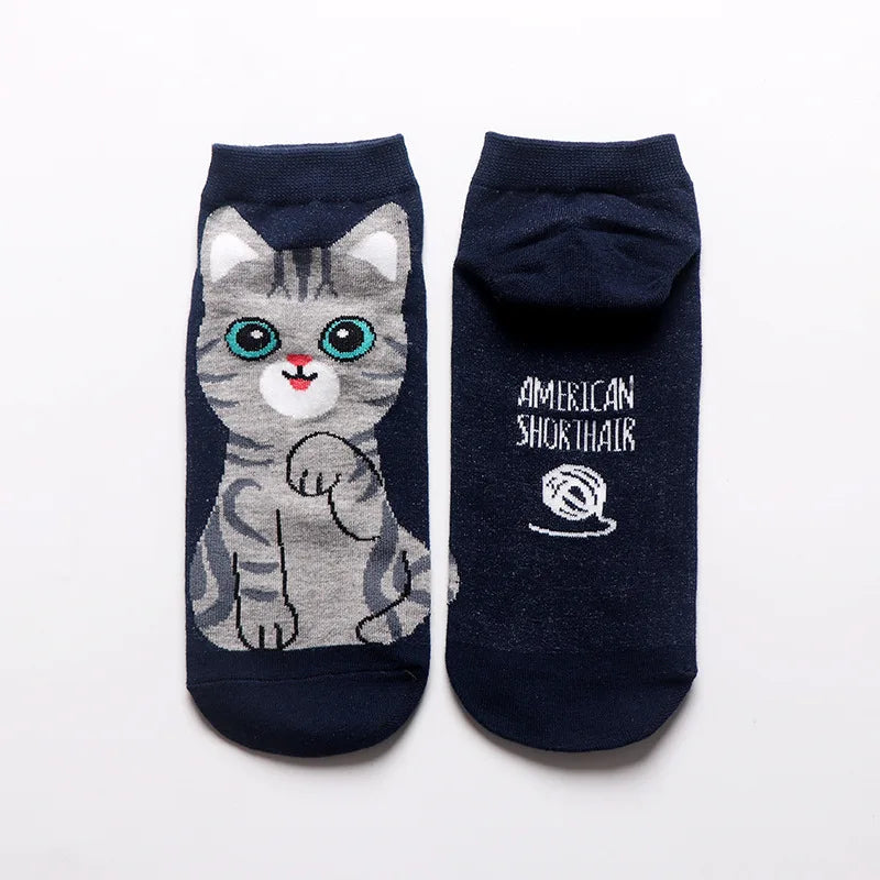 Spring And Autumn Fashion Women's Sotton Socken Funny Cartoon Animal Hello Kitten Dog Cute Girl Happy Funny Socks 5 Pairs