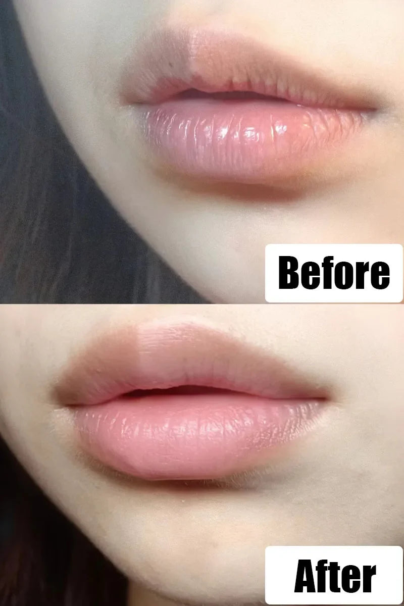 8/6Pc Lip Gloss Natural Fruit Essence Moisturizer Lip Balm Hydrating Transparent Lipstick Base Care Makeup Tools
