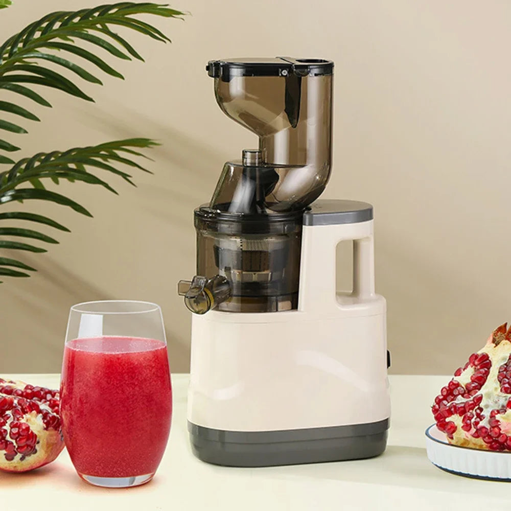Houselin Slow Cold Press Juicer Machines Vegetable and Fruit, 500W Slow Masticating Juicer Machines with 7-inch Large Feed Chute
