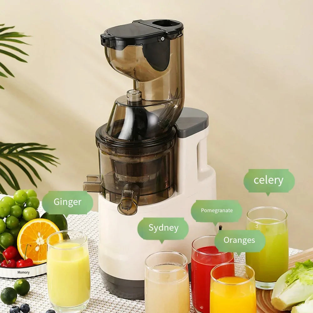 Houselin Slow Cold Press Juicer Machines Vegetable and Fruit, 500W Slow Masticating Juicer Machines with 7-inch Large Feed Chute