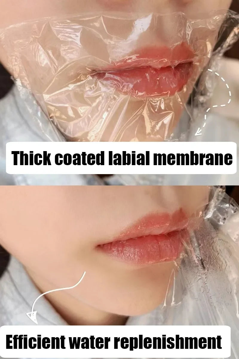8/6Pc Lip Gloss Natural Fruit Essence Moisturizer Lip Balm Hydrating Transparent Lipstick Base Care Makeup Tools